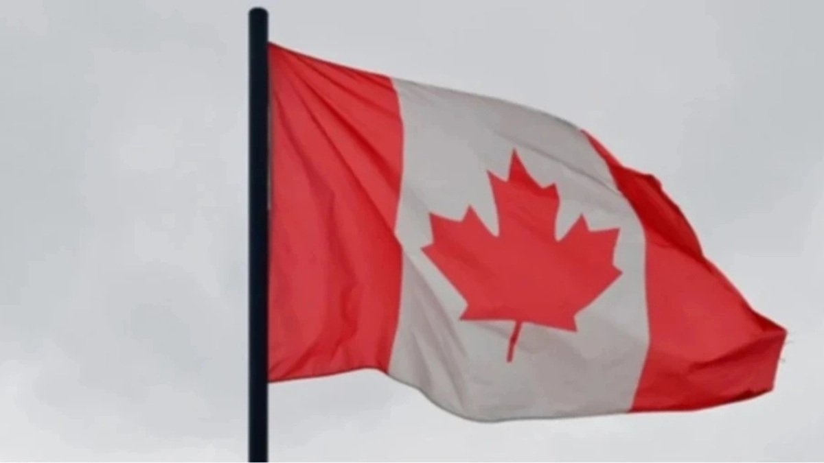 Canada allocates nearly C$863k in aid for Ukrainian prisoners of war