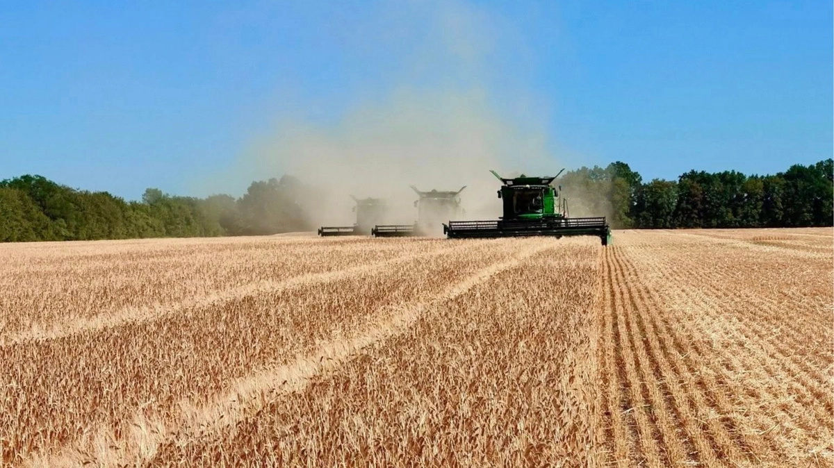 Ukraine to lose 30 million tonnes of agricultural exports this season unless ports are unblocked, minister says
